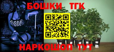 тгк Кизляр